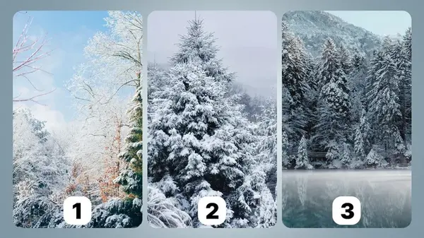 Куда ведет вас судьба: какой пейзаж вы выберете - тест на личность