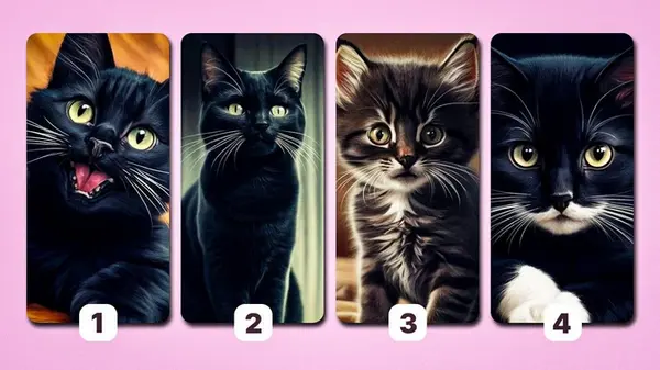 Какую кошку выбирают везучие люди: экспресс-тест на вашу удачу