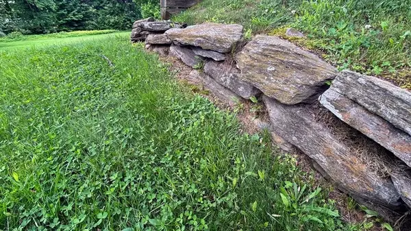 Как подготовить газон к зиме: осенние удобрения для здоровой травы весной