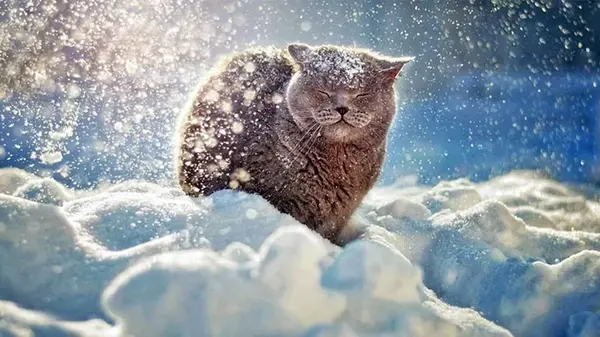 Гороскоп на неделю: для всех знаков зодиака