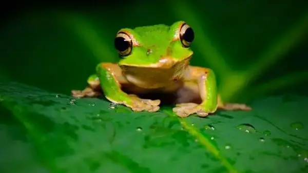 Простой тест покажет, насколько легко вас обидеть