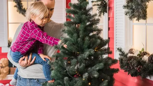 Живая елка в доме: как она может навредить организму