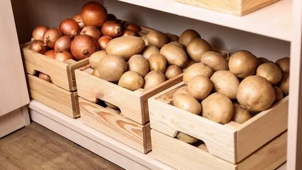 Картошка не прорастает и не сморщивается 6 месяцев: вот в чем ее нужно хранить
