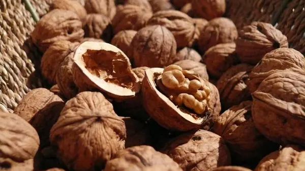 6 причин есть грецкие орехи: эксперты объяснили, что они дают организму