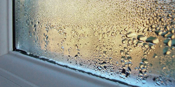 В квартире больше не будет сырости, а на окнах — конденсата: вот что нужно сделать