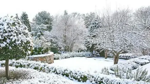 Почему лучше не посыпать дорожки песком или солью: безопасные способы борьбы со льдом в саду