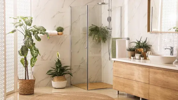 Какие растения хорошо растут в комнатах без окон: садоводы назвали топ-9