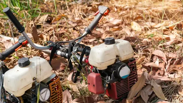 Сливать ли бензин из газонокосилки на зиму: эксперты дали окончательный ответ