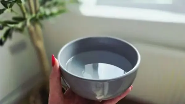 Вот для чего надо оставлять миску с водой в гостиной и спальне зимой