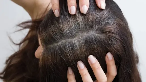 Какую краску нельзя выбирать для маскировки седины: эти советы уберегут от роковой ошибки