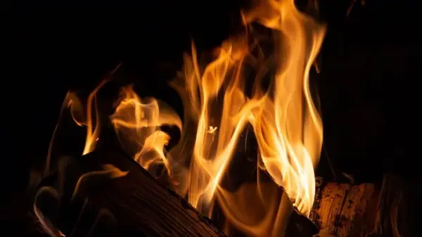 Топ-3 пород дров, которые греют вдвое сильнее и дольше: советы экспертов