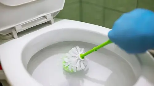 Как почистить унитаз: средство, которое дезинфицирует лучше хлора