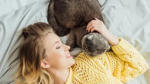 Почему кошка спит на вашей подушке: ветеринары назвали 5 трогательных причин