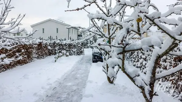 Как сохранить садовые дорожки красивыми и безопасными зимой, без риска поскользнуться и упасть