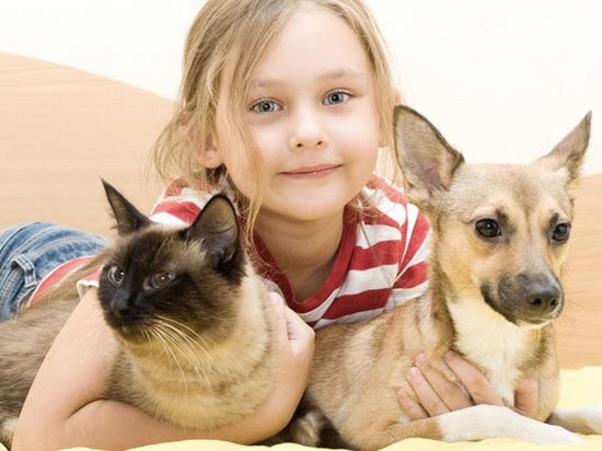 Заводить ли домашнее животное для ребенка?