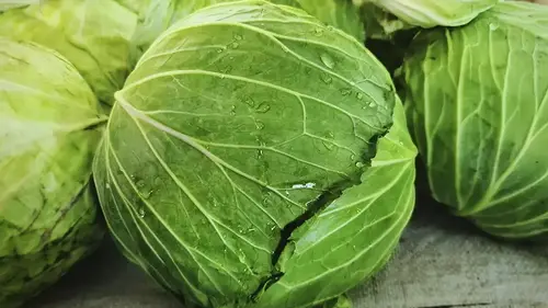 Как хранить капусту, чтобы она оставалась свежей неделями: одна ошибка может все испортить