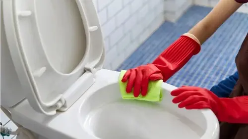 Как отмыть унитаз: лайфхак, который поможет очистить его от налета