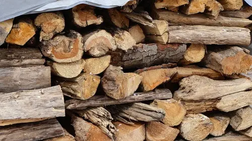 Это точно не для отопления: лесник назвал дрова, которые «забирают» тепло в доме