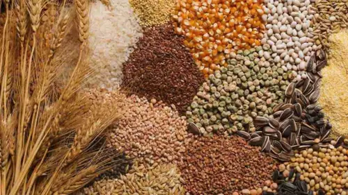 Эти крупы заменяют тонну удобрений: обязательно разбросайте их весной на огороде