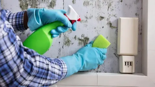 Плесень больше не вернется: доступное средство спасет стены от темных пятен