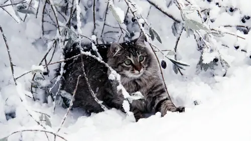 Гороскоп на неделю: для всех знаков зодиака