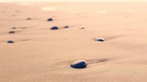 Как образуются песчаные пляжи: откуда на них песок