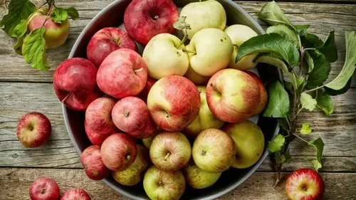 Какие яблоки полезны для пищеварения и уровня сахара: эксперты назвали 6 лучших сортов