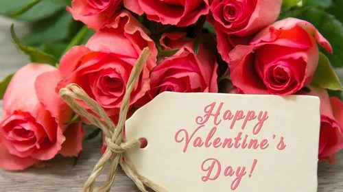 Цветы в честь Дня влюбленных: почему розы и сколько их должно быть