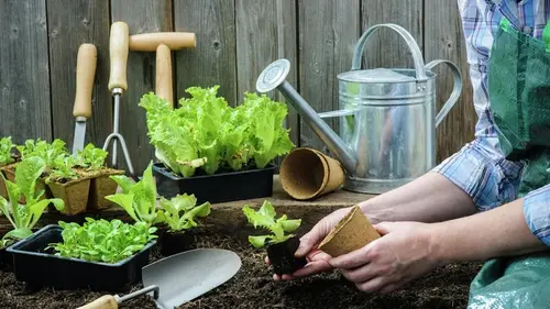7 дел, которые надо сделать на участке в феврале: всем дачникам на заметку