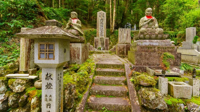 В Японии запустят прямой поезд до священной горы Коясан: чем она знаменита