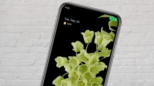 На экране вашего смартфона вдруг загорелась зеленая точка: стоит ли переживать