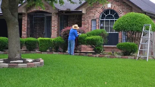 Довсходовые гербициды для газона — когда вносить и почему это решает проблему сорняков