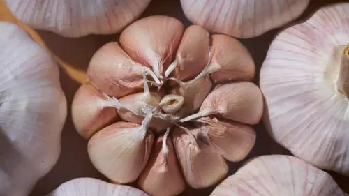 Вы удивитесь: сколько зубчиков чеснока безопасно есть в день