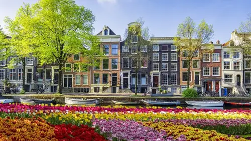 Нидерланды весной — это не только о музеях: 6 вещей, которые вас действительно поразят