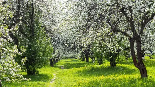 Финансовый гороскоп на неделю: кого из знаков Зодиака ждет прибыль 9 — 15 марта
