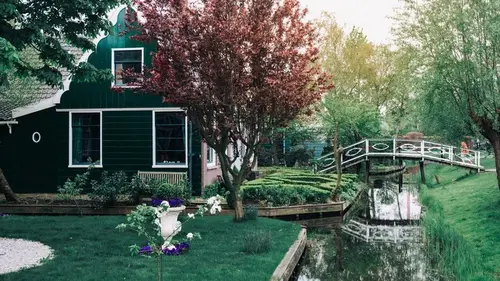 Какие деревья возле дома категорически нельзя рубить: навлечете на свою семью беды и болезни