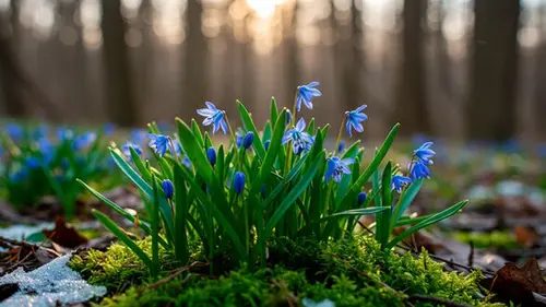 Гороскоп на неделю: для всех знаков зодиака