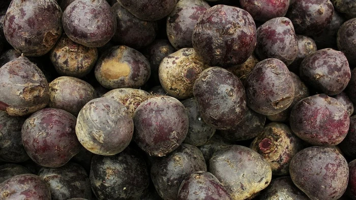 Сколько на самом деле варить свеклу: секрет, который сокращает время до 20 минут