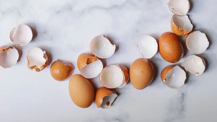 Как избавиться от улиток на огороде в домашних условиях