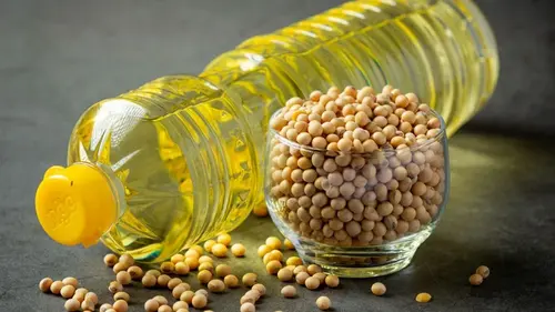 Какое растительное масло лучше выбирать для жарки блюд: не подсолнечное и не оливковое