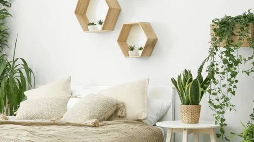 Як додати квартирі фарб: обираємо відповідні штучні рослини