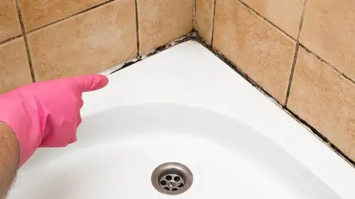 Как избавиться от черной плесени, грибка на герметике в ванной: чем оч...