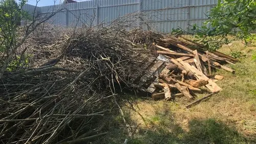 Куда деть ветки с участка, чтобы не получить штраф?