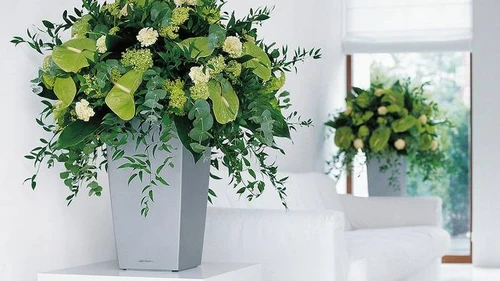 Як додати квартирі фарб: обираємо відповідні штучні рослини