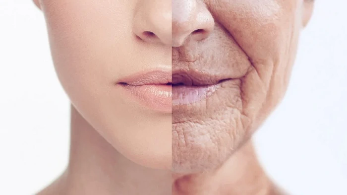 В каком возрасте мы стареем на самом деле: два критических пика