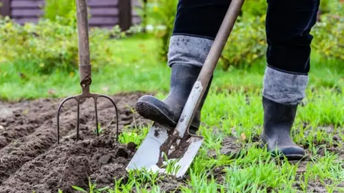 Что делать в апреле на огороде: какие сельскохозяйственные культуры высаживать в открытую почву