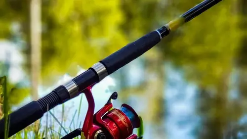 5 дней отличного клева: когда идти на рыбалку в конце апреля