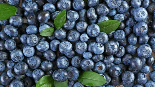 Булочки с черникой будут в разы вкуснее, если добавить щепотку эт...