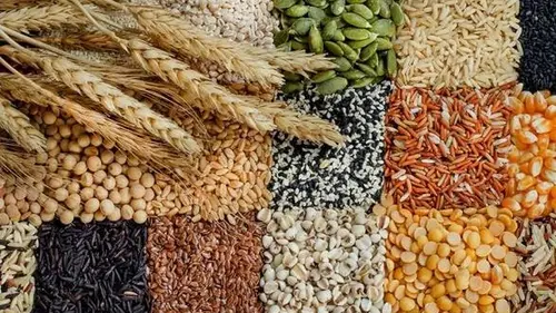 Не только овес и пшеница: ТОП-7 цельнозерновых продуктов для снижения ...