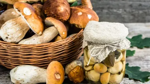 Самый вкусный маринад для грибов на зиму: подойдет для любых видов